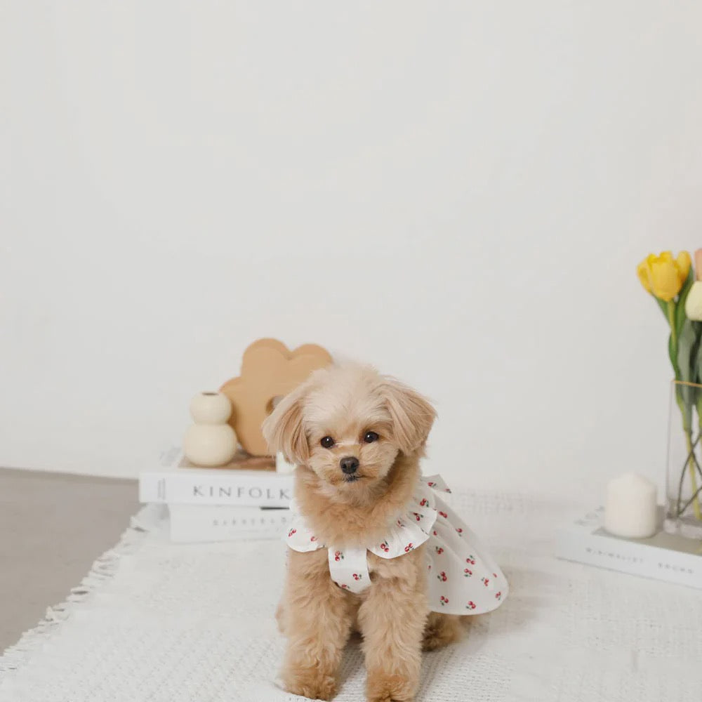 Caninie-Monchéri Cool Strawberry Pattern Frill Camisole Dress เดรสสุนัขสายเดี่ยวลายสตรอว์เบอร์รี่ สี Pink | ชุดสุนัขน่ารักสไตล์ญี่ปุ่น