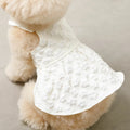 Caninie-Monchéri Cool Floral Pattern Pokopoko Cami Dress เดรสสุนัขสายเดี่ยวลายดอกไม้ สี Ivory | ชุดสุนัขน่ารัก