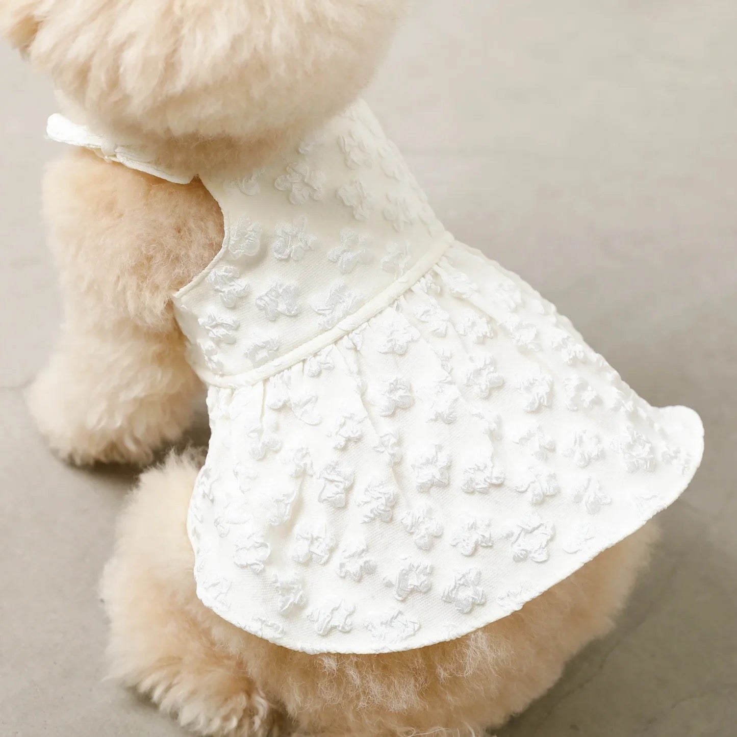 Caninie-Monchéri Cool Floral Pattern Pokopoko Cami Dress เดรสสุนัขสายเดี่ยวลายดอกไม้ สี Ivory | ชุดสุนัขน่ารัก