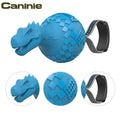 Caninie Dinoball ของเล่นสุนัขทรงไดโนเสาร์ Gigwi
