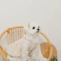 Caninie-Monchéri Cool Knit Camisole Dress เดรสสุนัขสายเดี่ยวผ้าถัก สี Ivory | ชุดสุนัขน่ารักสไตล์ญี่ปุ่น