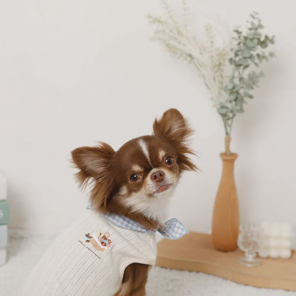 Caninie-Monchéri Cool Neck Ribbon Sweets Logo Sleeveless Top เสื้อสุนัขแขนกุดริบบิ้นคอ สีฟ้า
