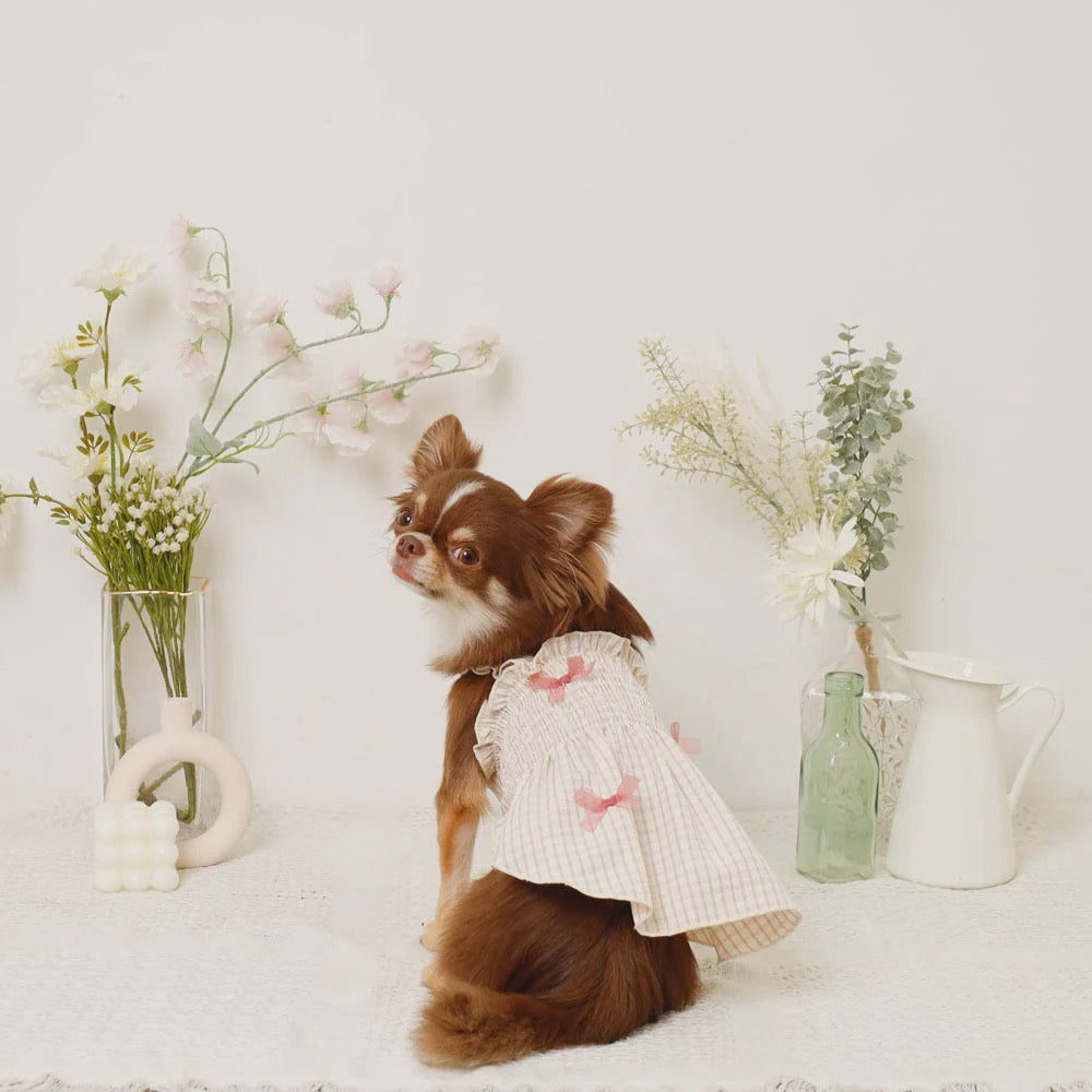 Caninie-Monchéri Cool Check Gathered Ribbon Dress เดรสสุนัขลายตารางพร้อมริบบิ้น สี Pink | ชุดสุนัขน่ารัก