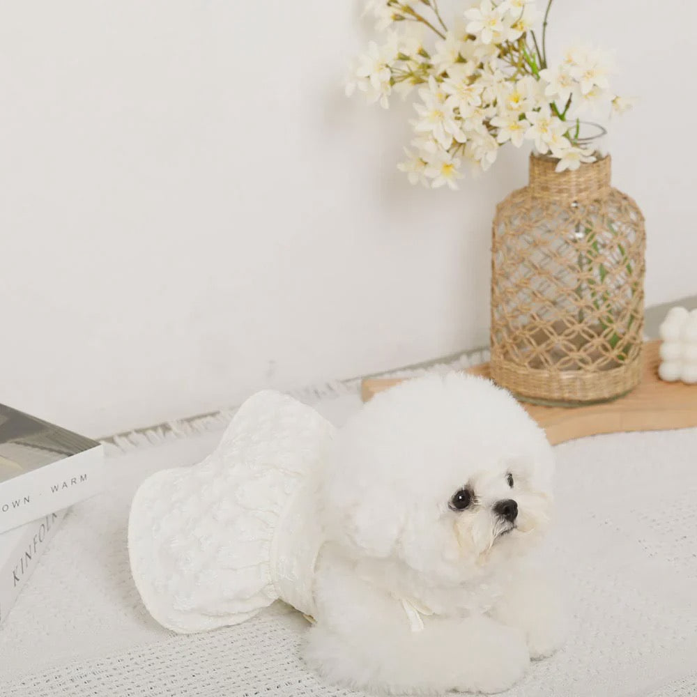 Caninie-Monchéri Cool Floral Pattern Pokopoko Cami Dress เดรสสุนัขสายเดี่ยวลายดอกไม้ สี Ivory | ชุดสุนัขน่ารัก