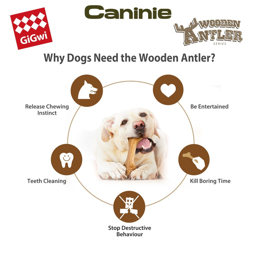 Caninie ไม้กัดเล่นทรงเขากวาง สำหรับสุนัข Gigwi