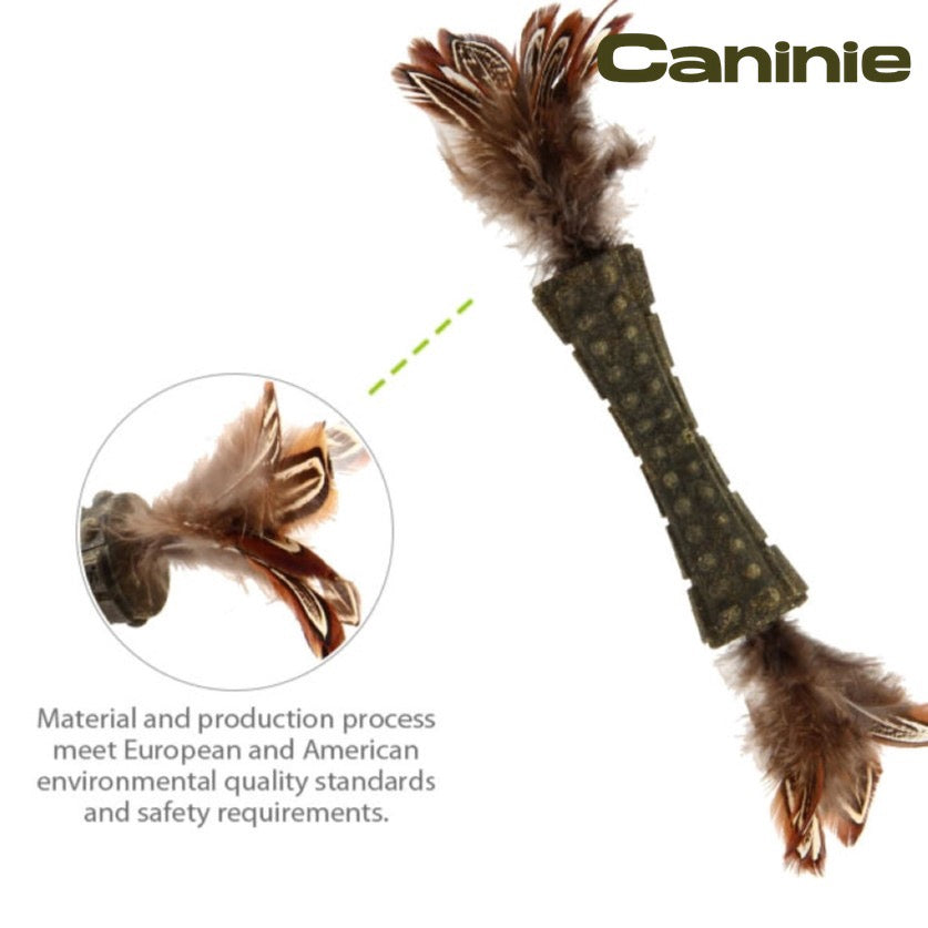Caninie-GiGwi Johnny Stick Catnip ก้านแคทนิปอัดแท่ง ขนนกคู่ ของเล่นแมวกัดแทะ ช่วยทำความสะอาดฟัน