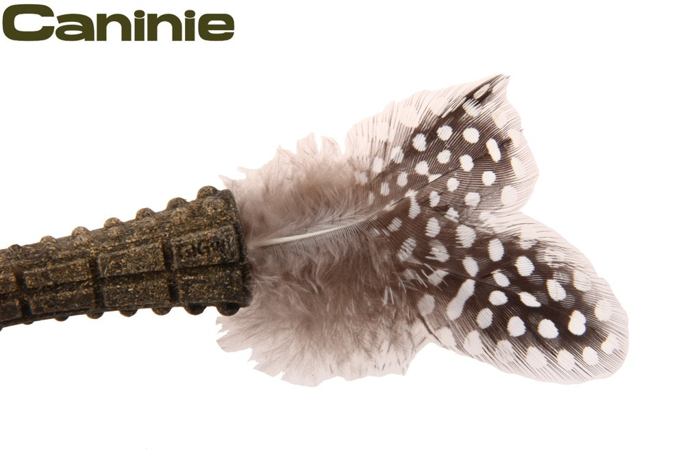 Caninie-GiGwi Johnny Stick Catnip ก้านแคทนิปอัดแท่ง ขนนกคู่ ของเล่นแมวกัดแทะ ช่วยทำความสะอาดฟัน