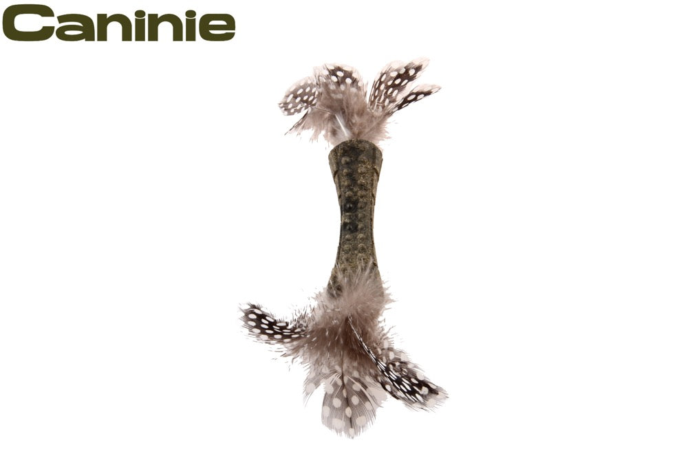 Caninie-GiGwi Johnny Stick Catnip ก้านแคทนิปอัดแท่ง ขนนกคู่ ของเล่นแมวกัดแทะ ช่วยทำความสะอาดฟัน