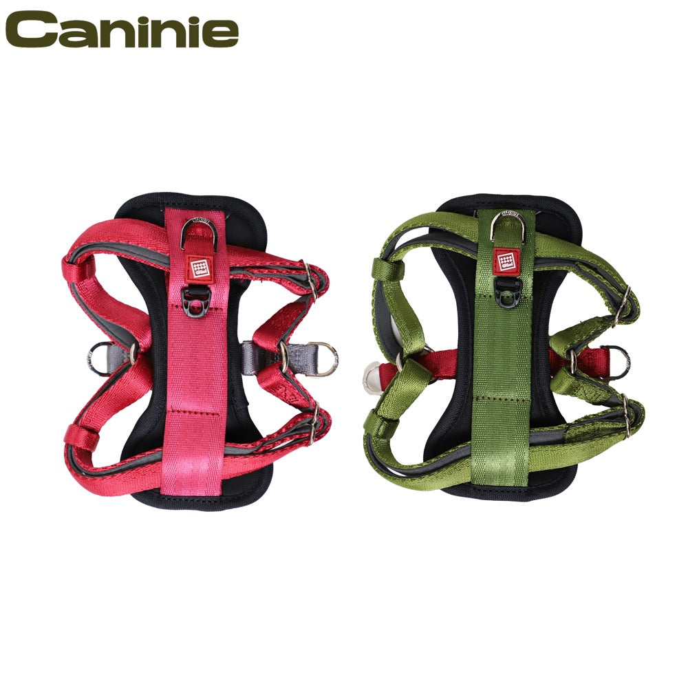 Caninie สายรัดอกสุนัข Premium Line Size M Gigwi