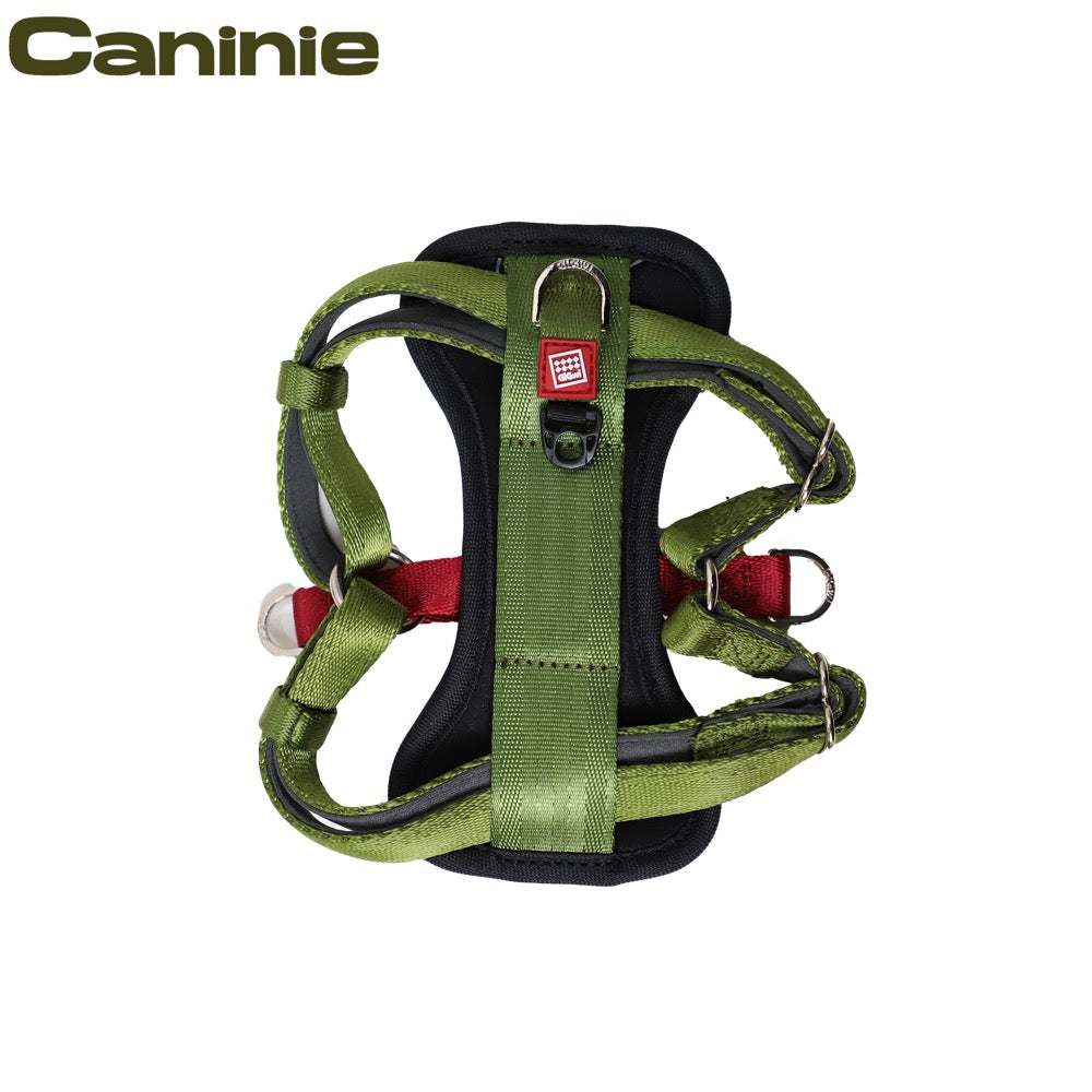 Caninie สายรัดอกสุนัข Premium Line Size M Gigwi