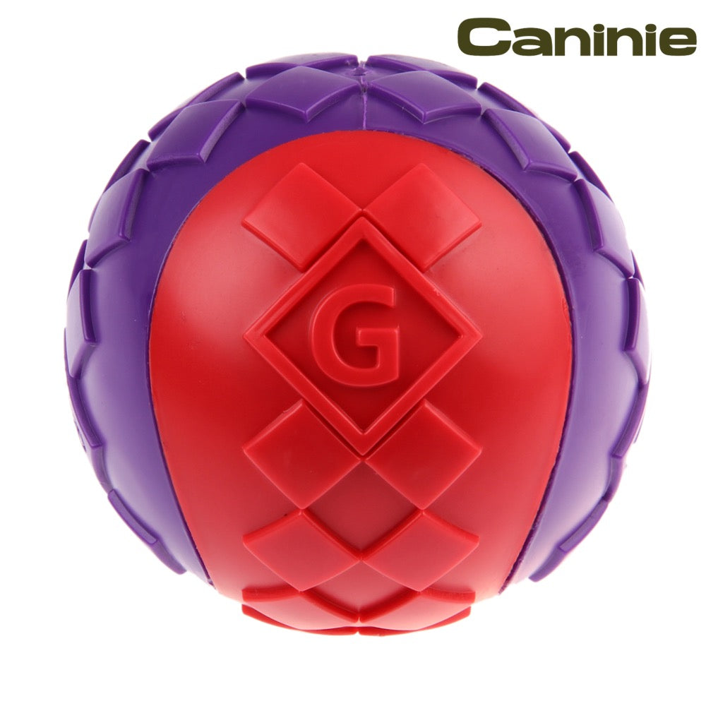 Caninie Dog Ball Toy ขนาดใหญ่ คาบถนัดปาก Gigwi
