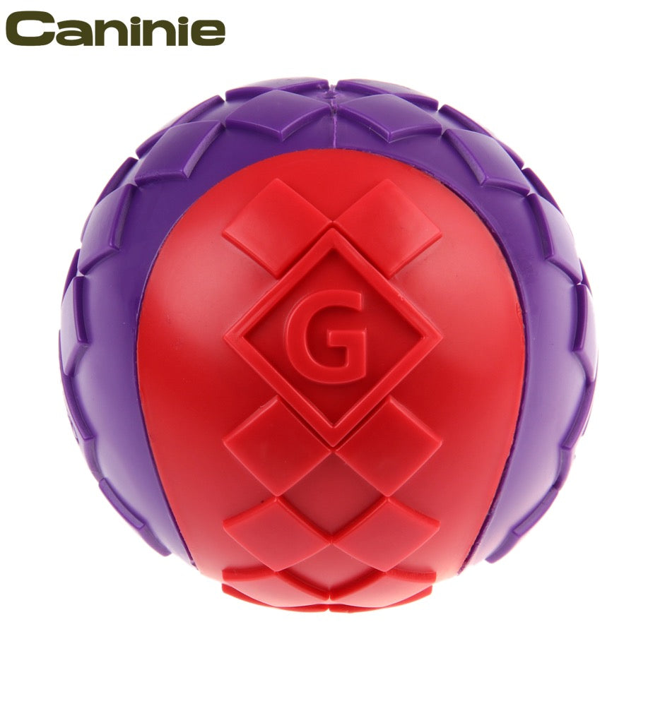 Caninie Dog Ball Toy ขนาดใหญ่ คาบถนัดปาก Gigwi