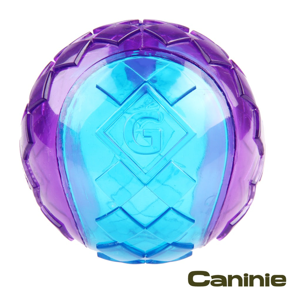 Caninie Dog Ball Toy ขนาดใหญ่ คาบถนัดปาก Gigwi