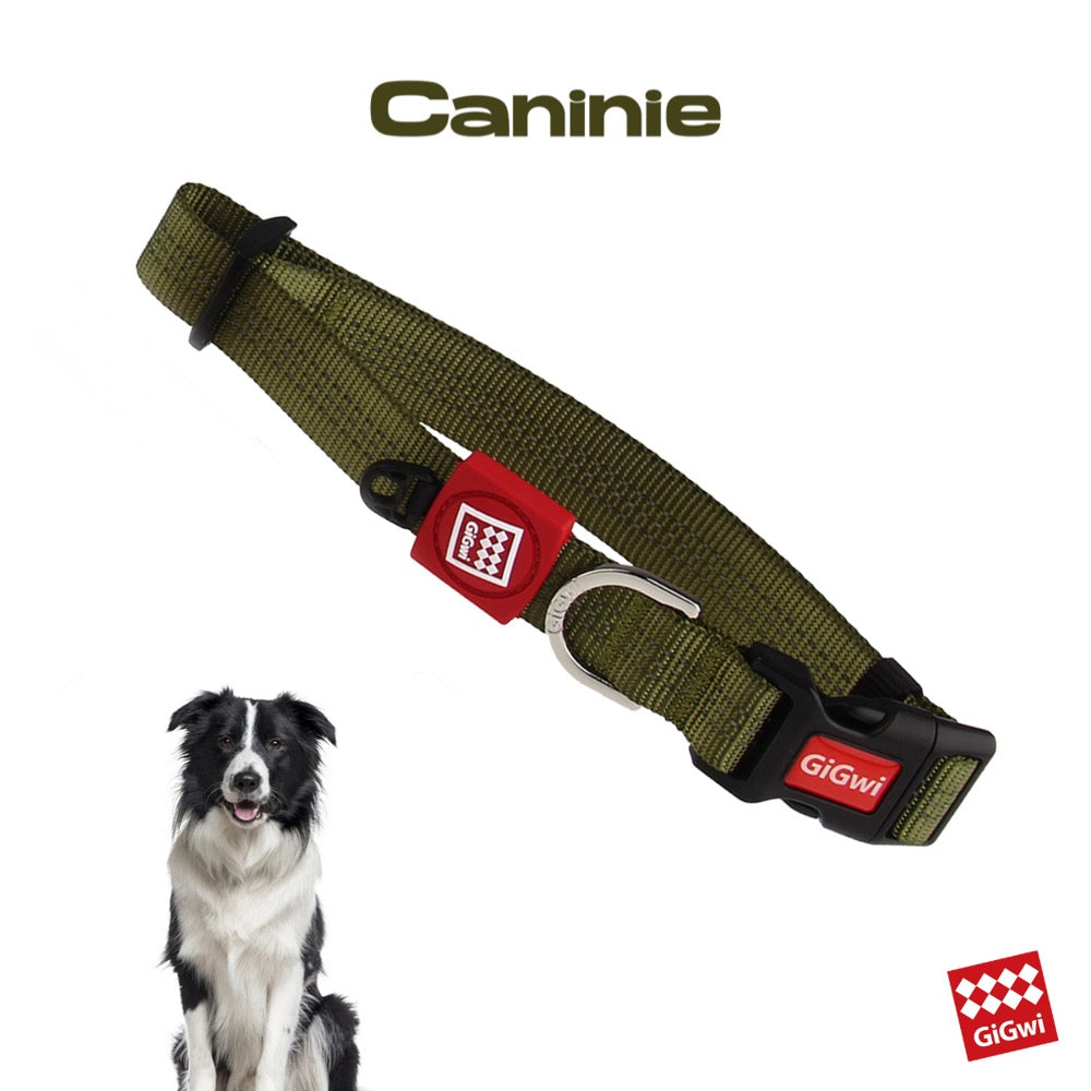 Caninie ปลอกคอหมาแบบเรียบ ปรับขนาดได้ Gigwi