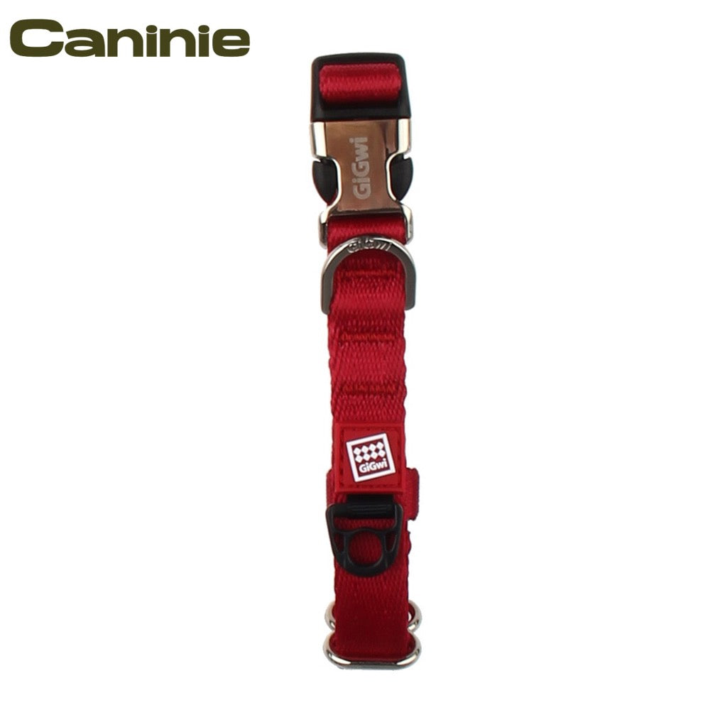 Caninie Dog Collar รุ่น Premium อะไหล่เหล็ก Gigwi