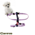 Caninie สายรัดอกสัตว์เลี้ยง แบบเรียบ แข็งแรง Gigwi
