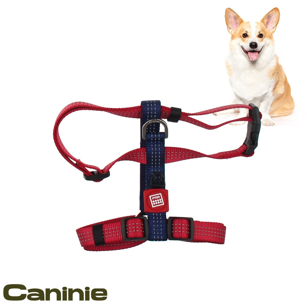 Caninie สายรัดอกสัตว์เลี้ยง แบบเรียบ แข็งแรง Gigwi