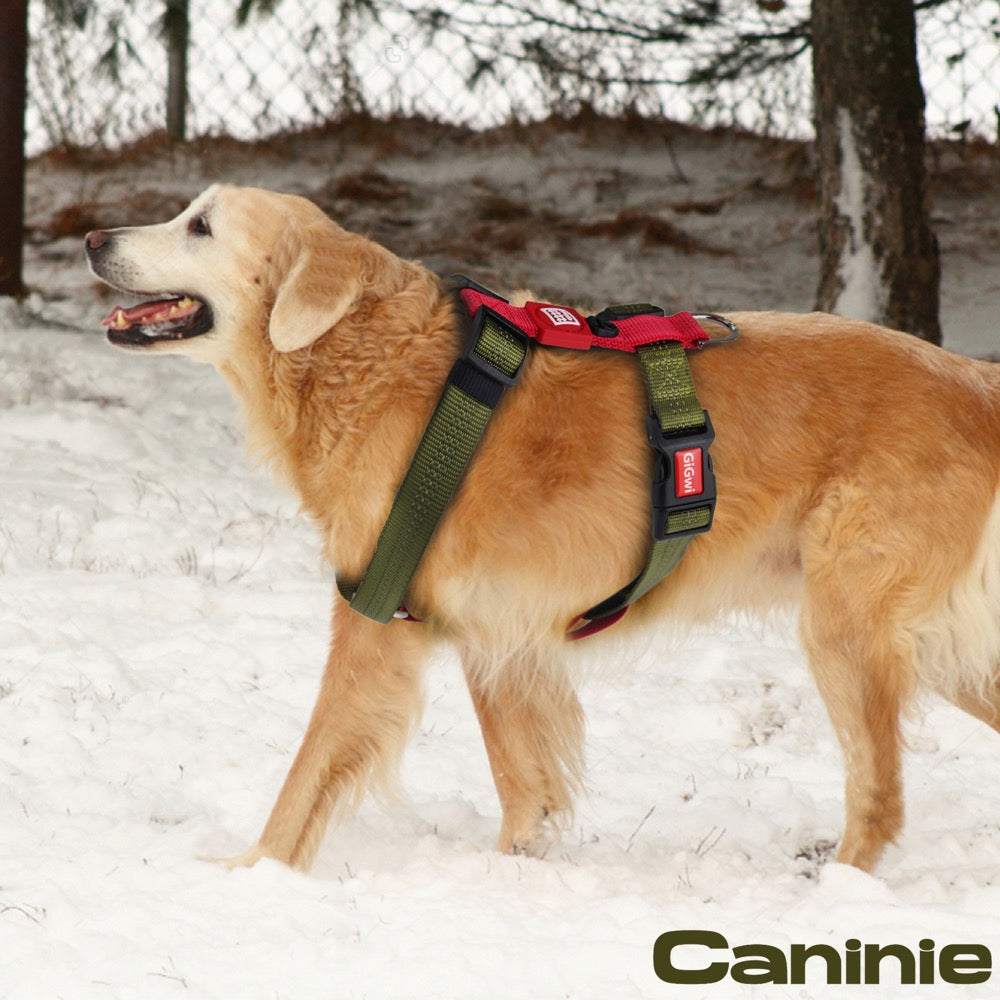 Caninie สายรัดอกสัตว์เลี้ยง แบบเรียบ แข็งแรง Gigwi