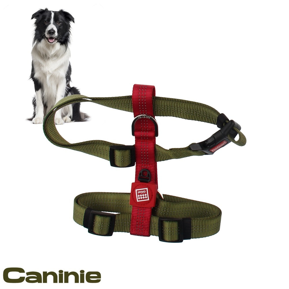 Caninie สายรัดอกสัตว์เลี้ยง แบบเรียบ แข็งแรง Gigwi