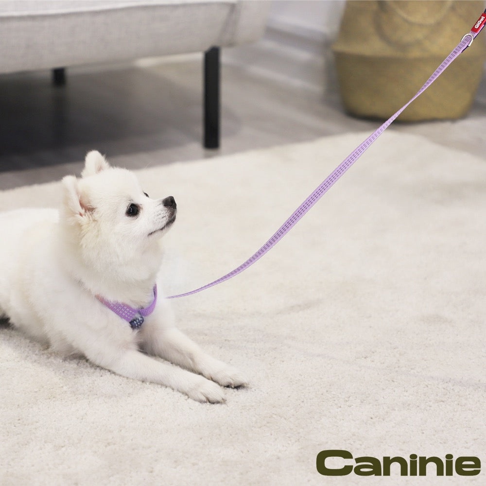 Caninie Dog Leash แบบเรียบ แข็งแรง Gigwi