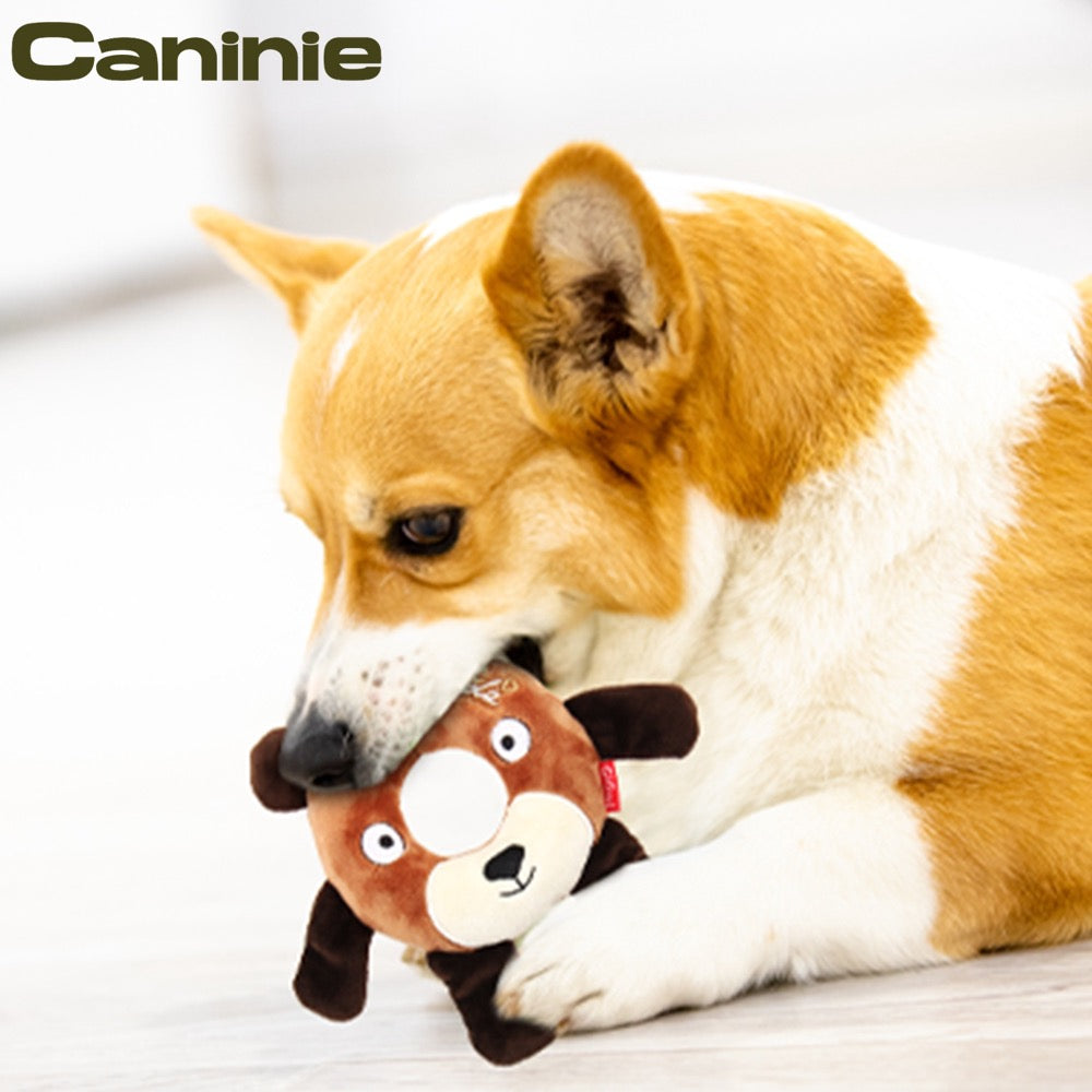 Caninie Dog Toy ผ้าเสริมวงแหวนยางโฟม Gigwi