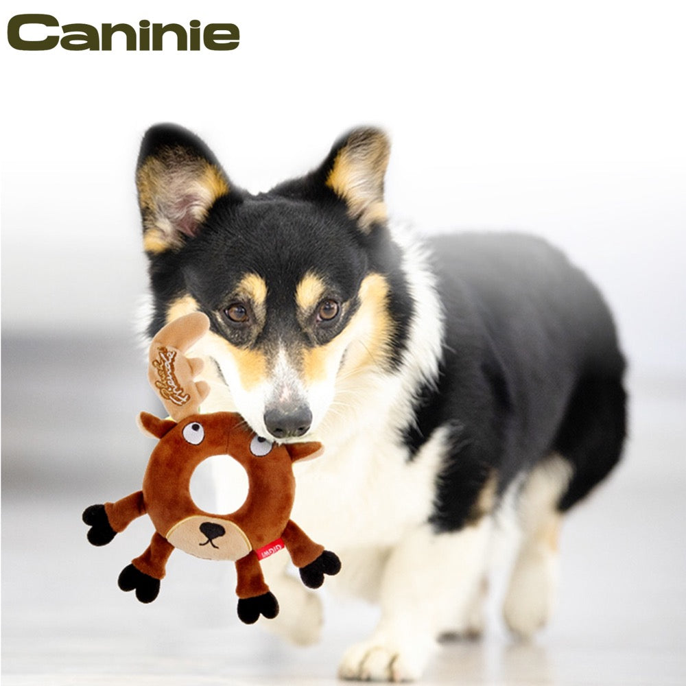 Caninie Dog Toy ผ้าเสริมวงแหวนยางโฟม Gigwi