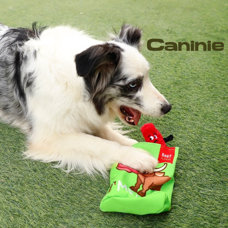 Caninie ของเล่นสุนัขรูปซองขนม เสริมกิจกรรมการเล่น