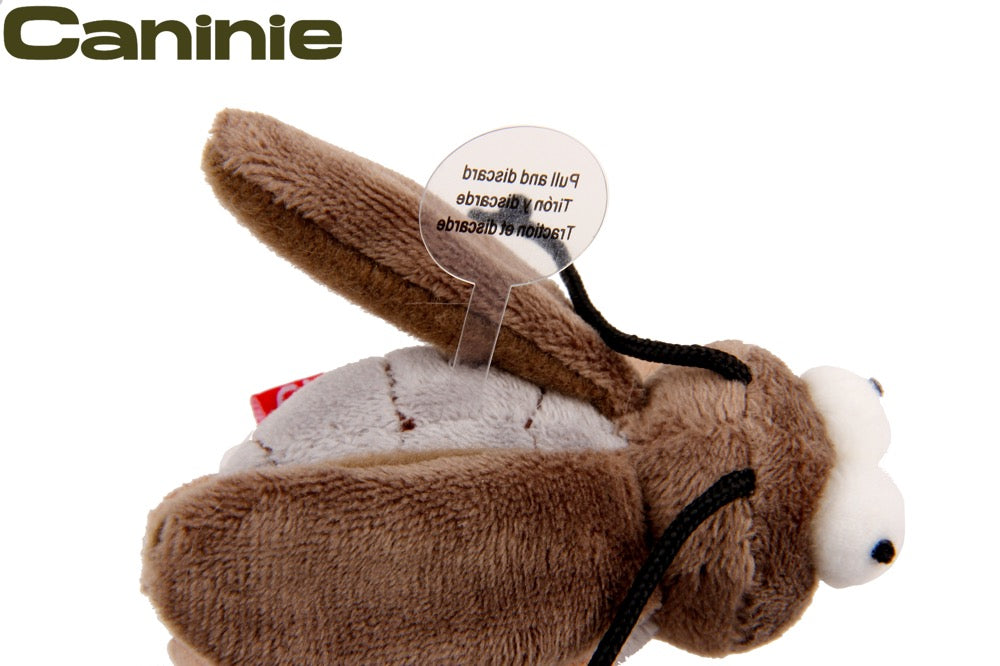 Caninie-GiGwi Melody Chaser Cricket ตุ๊กตาจิ้งหรีดมีเสียง ของเล่นแมวเสียงแมลง Motion Sensor พร้อม Catnip