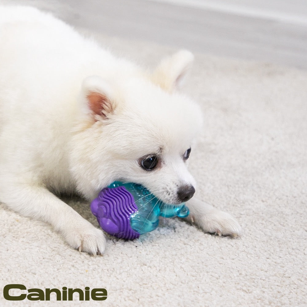 Caninie Dog Toy รุ่น Suppa Puppa คาบง่าย Gigwi