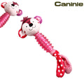 Caninie ของเล่นลูกสุนัข พร้อมห่วงยาง TPR ช่วยขัดฟัน Gigwi