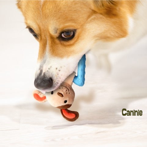 Caninie ของเล่นหมาเสริมสุขภาพฟัน สำหรับลูกสุนัข Gigwi