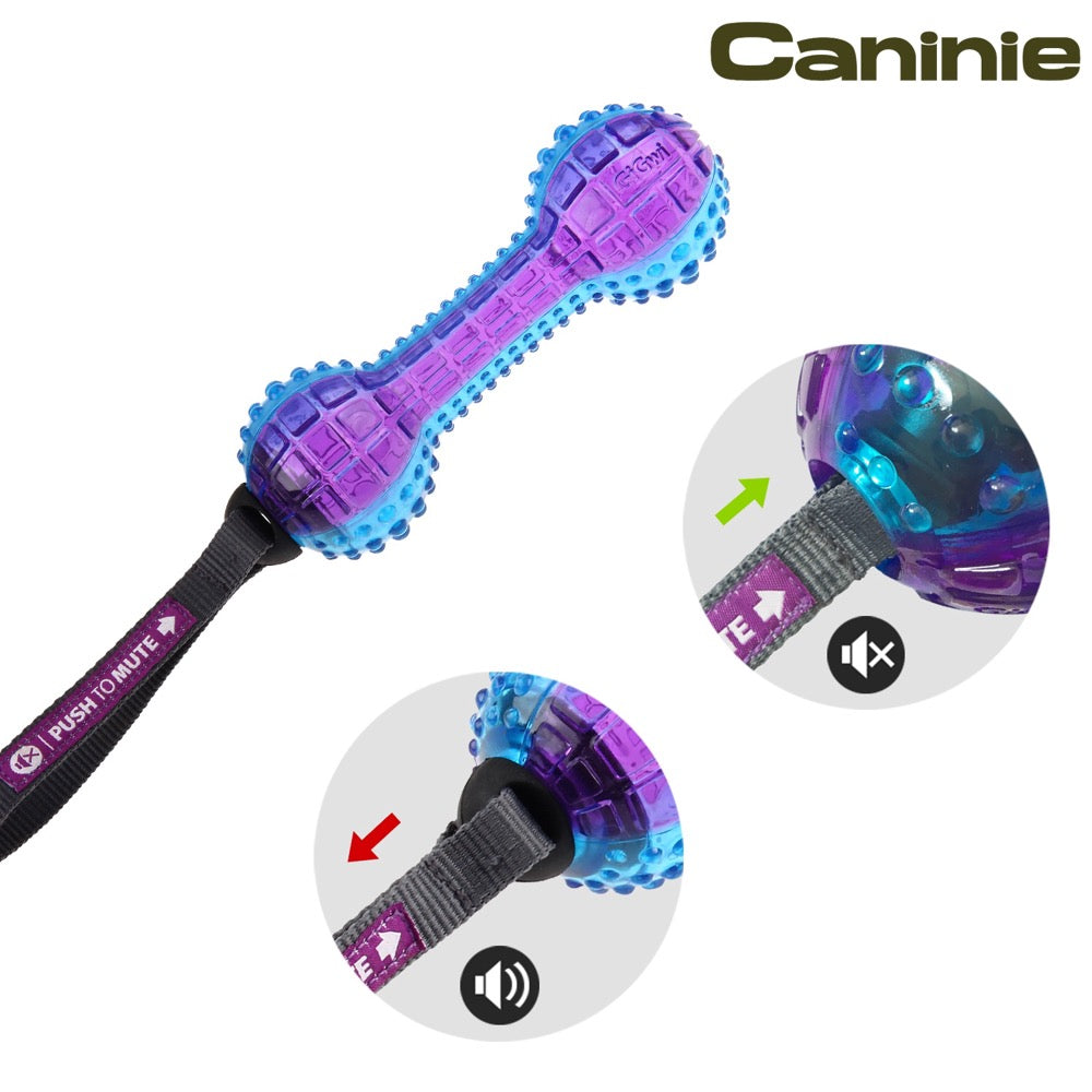 Caninie ของเล่นสุนัขแบบกดปิดเสียงได้Gigwi