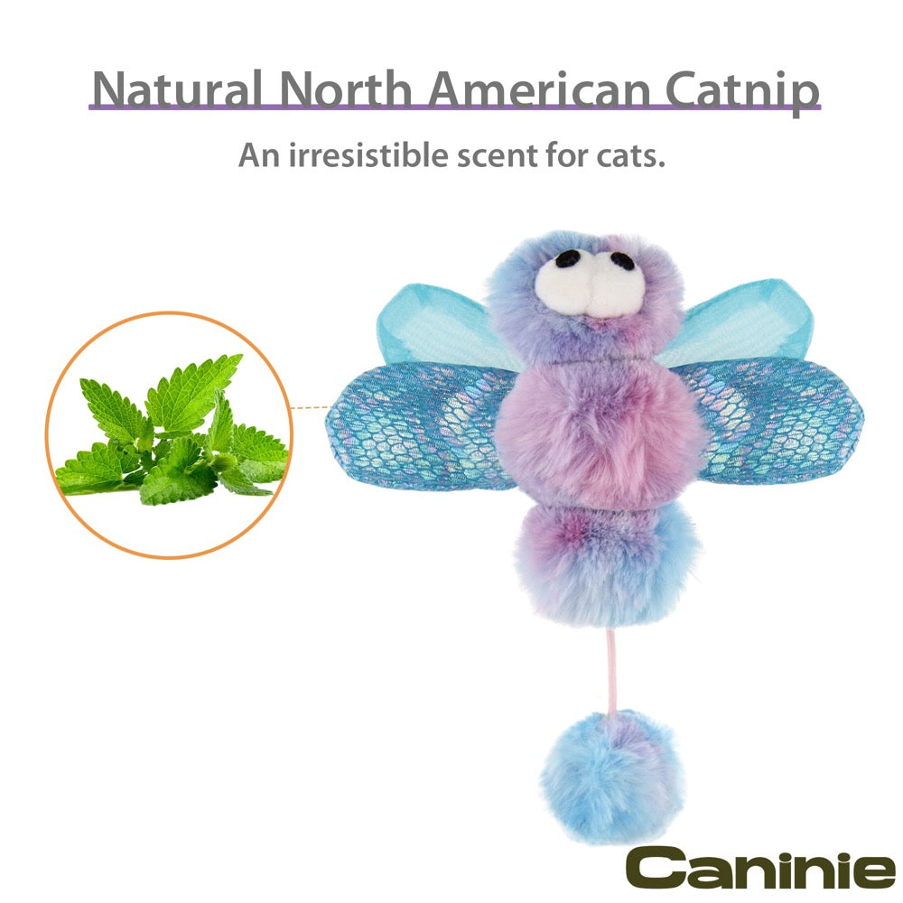 Caninie-GiGwi Catch & Scratch ของเล่นแมวขนนก มีเสียงกระดิ่ง พร้อม Catnip ของเล่นแมวไล่จับ ของเล่นแมวเสริมสัญชาตญาณล่า