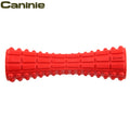 Caninie ของเล่นหมาทรงไม้แท่ง สำหรับคาบเล่นGigwi