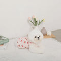 Caninie-Monchéri Cool Strawberry Pattern Frill Camisole Dress เดรสสุนัขสายเดี่ยวลายสตรอว์เบอร์รี่ สี Pink | ชุดสุนัขน่ารักสไตล์ญี่ปุ่น