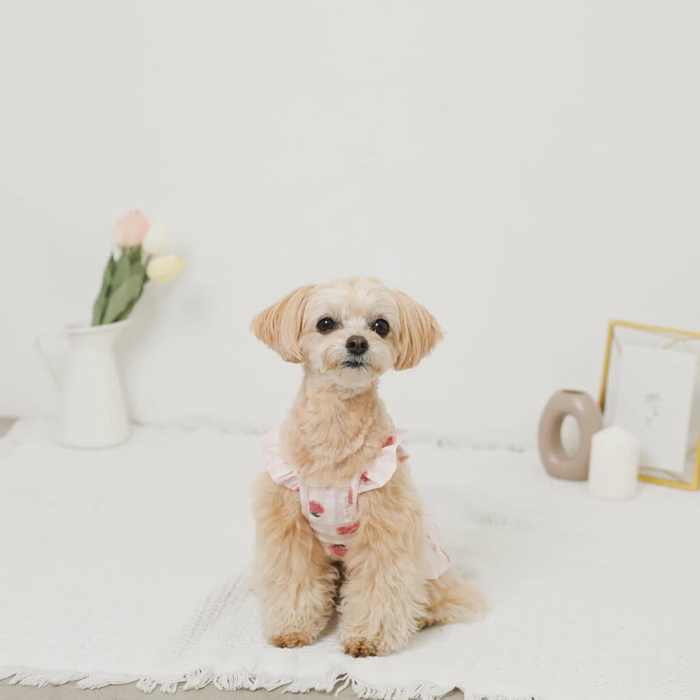 Caninie-Monchéri Cool Strawberry Pattern Frill Camisole Dress เดรสสุนัขสายเดี่ยวลายสตรอว์เบอร์รี่ สี Pink | ชุดสุนัขน่ารักสไตล์ญี่ปุ่น