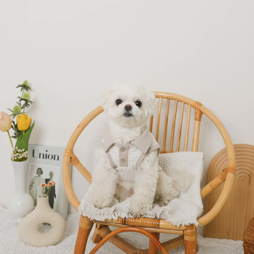 Caninie-Monchéri Cool Window Pen Check Pattern Sleeveless Top เสื้อสุนัขแขนกุดลายตาราง สี Beige | เสื้อผ้าสุนัขสไตล์ญี่ปุ่น