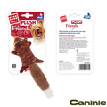 Caninie ของเล่นสุนัขรุ่น Plush Friendz ดีไซน์รูปแรคคูน ผลิตจากวัสดุผ้านุ่ม