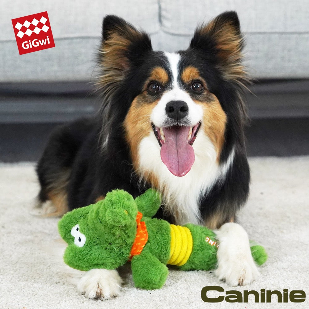 Caninie ของเล่นสุนัข Foody Friendz รุ่น Shaking Fun